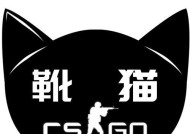 Csgo等级军衔图标揭秘（探索Csgo玩家等级军衔图标的发展及其背后的隐藏故事）