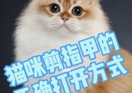 让猫自愿剪指甲的方法（简单易行的猫咪指甲修剪技巧）