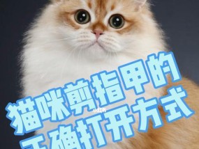 让猫自愿剪指甲的方法（简单易行的猫咪指甲修剪技巧）