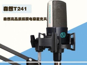 2024年声卡麦克风品牌排行榜公布（市场调研揭示消费者首选）