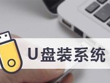 新手如何使用U盘重装电脑系统？教程步骤是什么？