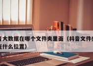 抖音大数据报告揭示热门内容与用户偏好（抖音用户热衷于创意内容）