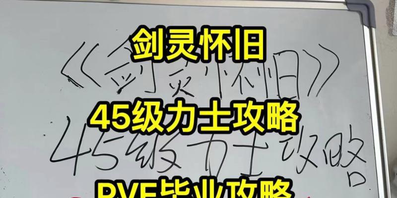 剑灵力士双钺技能加点特性解析（剑灵力士双钺技能加点攻略）  第1张