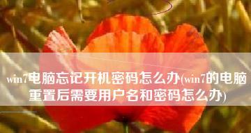 解决Win7电脑忘记密码的方法（重置密码的简单步骤及技巧）  第2张